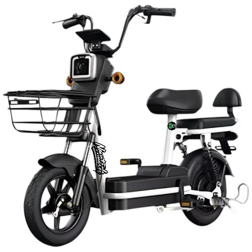 Moto eléctrica NOVATECH E1